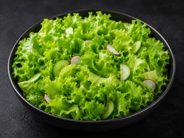 Grüner Salat